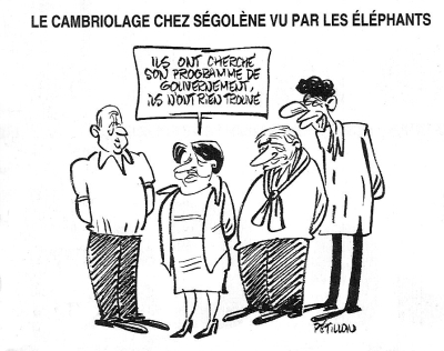 sego.jpg