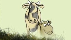 vache.jpg