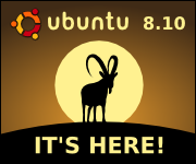 Ubunut Intrepid 8.10 est là