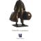 Qui comme Ulysse - Georges Flipo