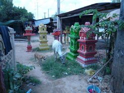 la vache et le chien