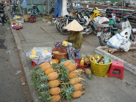 il est beau mon ananas !
