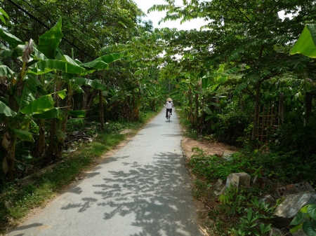 petit chemin de campagne