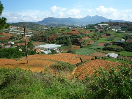 les jardins de Dalat