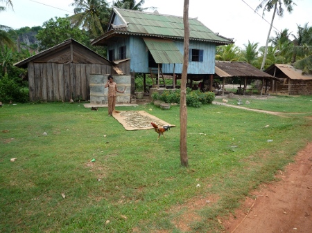 le coq a faim