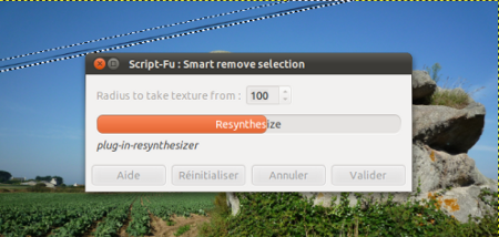 le plugin Resynthetizer en action