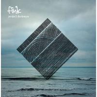 Fink - Perfect Darkness