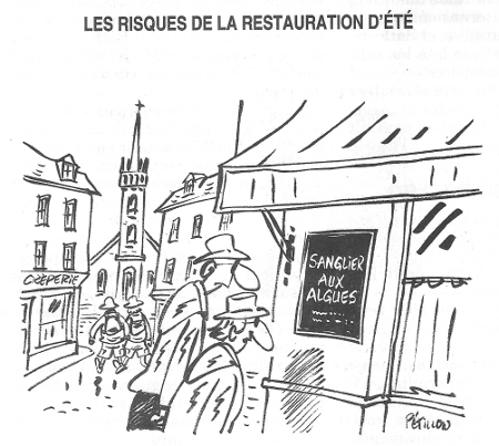 sanglier aux algues