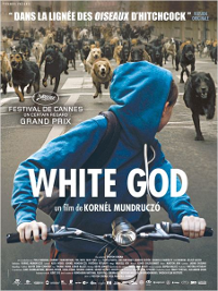 White God - Kornel Mundruczó