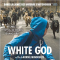 White God - Kornel Mundruczó
