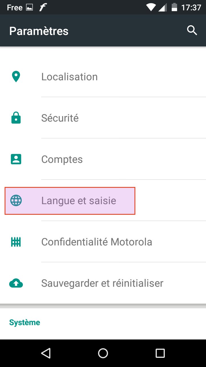 Langue et saisie