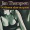 Le démon dans ma peau - Jim Thompson